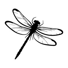 Stylized Dragonfly Silhouette Vector Graphic with Detailed Wing Veins and Elongated Body