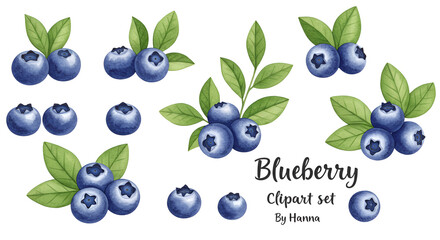 blueberries isolated on white background
