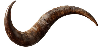 Curved Ram Horn Detailed Texture Animal Symbol Nature Mythology Concept on transparent background