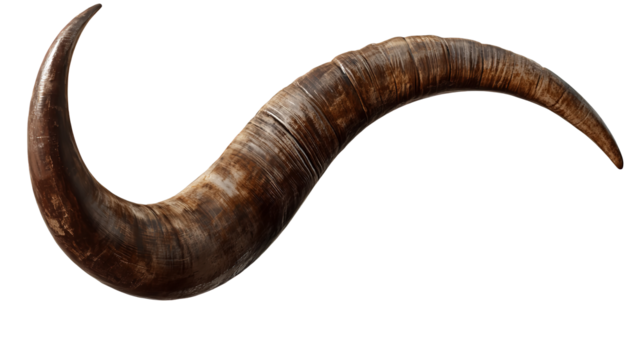 Curved Ram Horn Detailed Texture Animal Symbol Nature Mythology Concept on transparent background