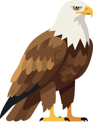 Fototapeta premium Bald eagle perched vector illustration with white head and brown feathers detailed design 