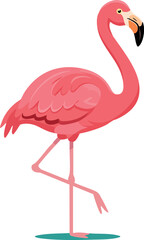 Obraz premium Pink flamingo standing on one leg vector illustration in simple style 