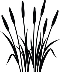 reed on white background.eps