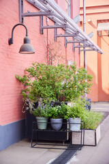 A corner in a modern outdoor space. Potted plants