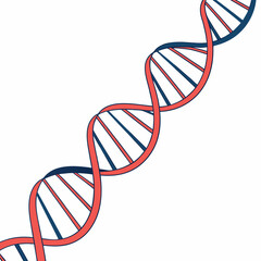 Coral and navy blue D N A helix double helix science