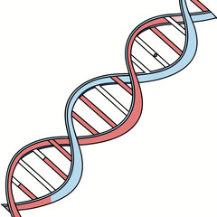 Double helix structure with coral and sky blue strands