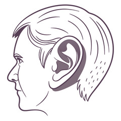Human head profile ear and hair vector