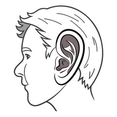 Human Head Profile With Ear Detail anatomy medical illustration
