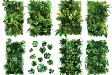 Premium Quality Visual of Set of Green Garden Walls From Tropical Plants, Cut Out