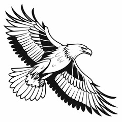 Majestic eagle in flight bird flying