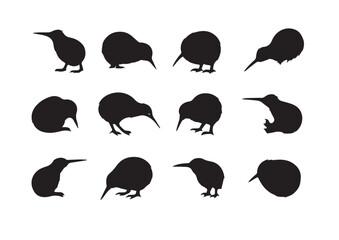 Silhouette Kiwi Bird Set: A set of silhouettes of a Kiwi bird in various poses, highlighting the unique shape and form of the bird in a minimalist style, conveying a sense of elegance and intrigue.
