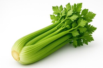 Detailed view of crisp celery stalks against a plain white backdrop