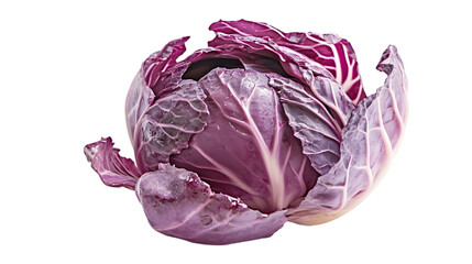 Obraz premium red cabbage isolated on white background