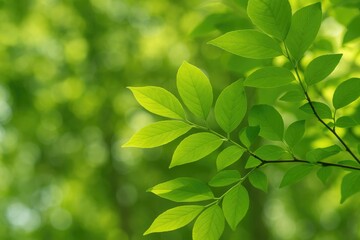 Detailed shot of lush green foliage