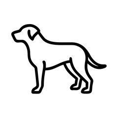 Dog Labrador Retriever breed