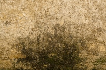 Fototapeta premium Moist and grimy interior wall surface