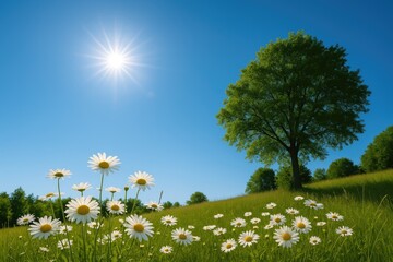 Bright and sunny weather with a cloudless sky
