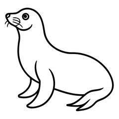 White Sea Lion Sketch