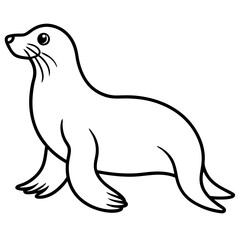 White Sea Lion Sketch