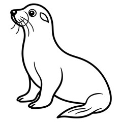 White Sea Lion Sketch