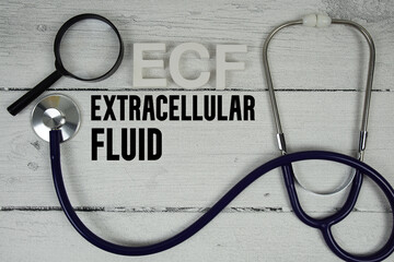 ECF Extracellular Fluid text with Stethoscope on wooden background
