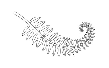 Elegant black and white line drawing of a fern frond unfurling in a graceful spiral pattern
