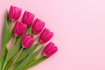 Vibrant Pink Tulip Bouquet on a Pink Backdrop with Space for Message