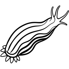 White Sea Slug Line Art