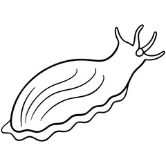 White Sea Slug Line Art
