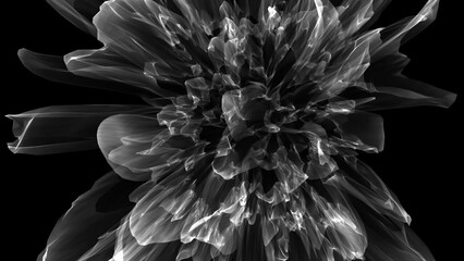 Abstract Monochrome Floral Explosion Ethereal Petals and Textures Dynamic Composition of Light and Shadow A Mesmerizing Dance of Transparency and Opacity Surreal Impression