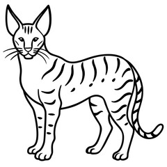 White Serval Line Art