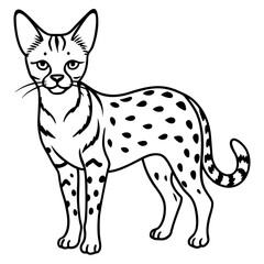 Fototapeta premium White Serval Line Art