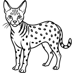 White Serval Line Art