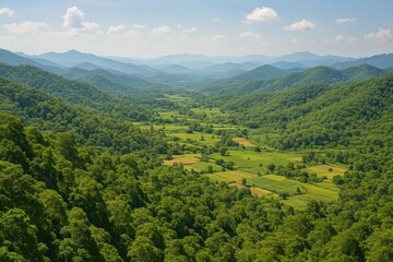 Obraz premium Rich biodiversity of the Kaeng Krachan rainforest recognized as a natural heritage site in Phetchaburi