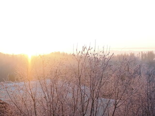 Winterlicht