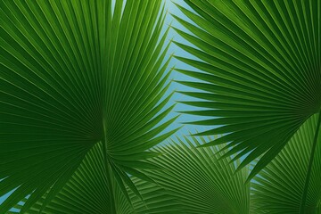Obraz premium Surface Pattern of Lush Green Palm Fronds