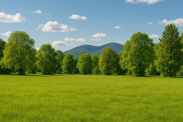 Obraz premium Lush green meadow with diverse trees in the distance