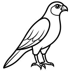 White Sparrowhawk Line Art