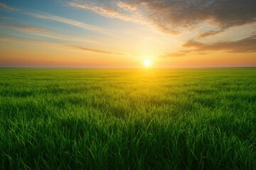 Dawn in a lush countryside landscape
