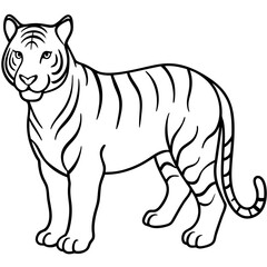 White Tiger Silhouette Linear Animal Art Design