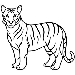 White Tiger Silhouette Linear Animal Art Design