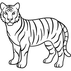 White Tiger Silhouette Linear Animal Art Design