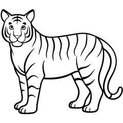 White Tiger Silhouette Linear Animal Art Design
