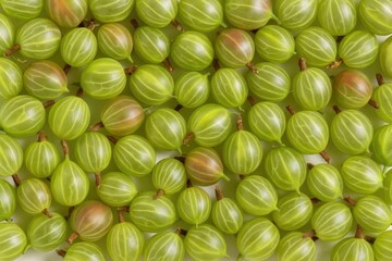Close-up of fresh gooseberry berries