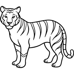 White Tiger Silhouette Linear Animal Art Design