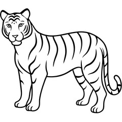 White Tiger Silhouette Linear Animal Art Design
