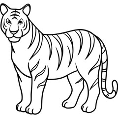 White Tiger Silhouette Linear Animal Art Design