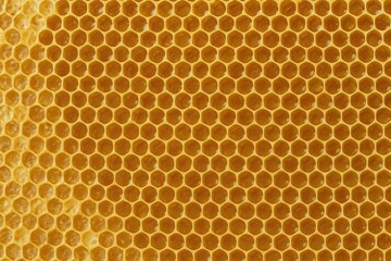 Natural honeycomb and beehive for culinary use from northern region