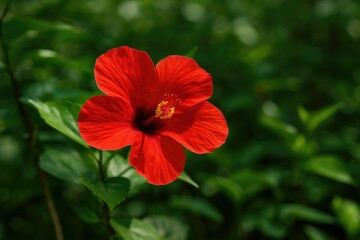 Heavenly Radiance of a Floral Bloom