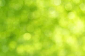 Vibrant green bokeh with a natural glowing backdrop